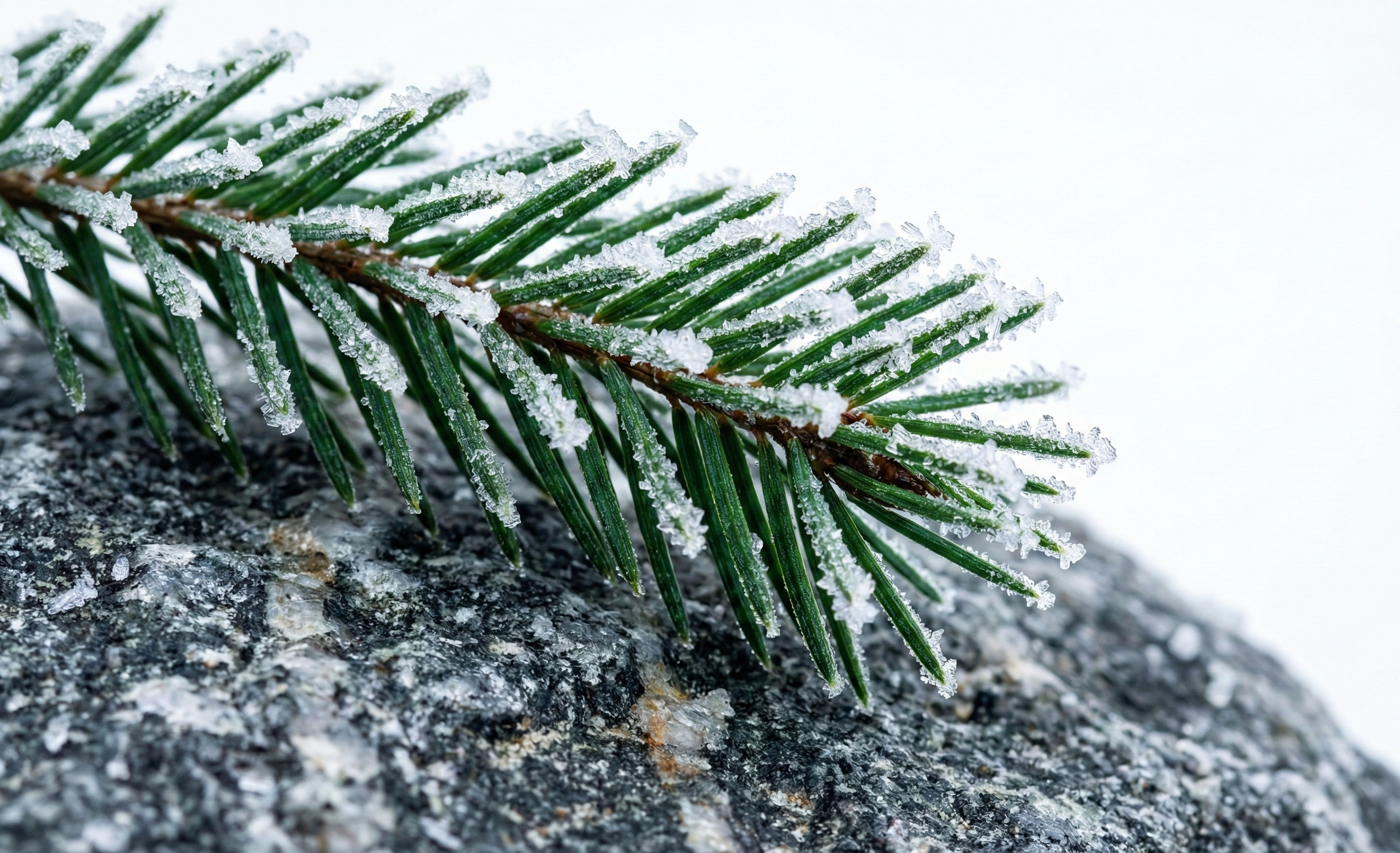 Råvarornas ursprung